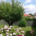 Elma Visoko