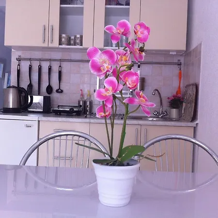 Elma Appartement