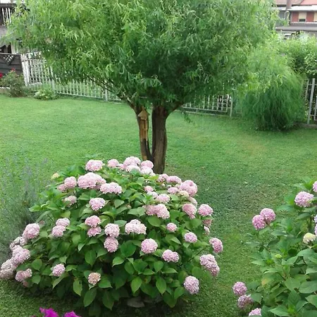 Elma Appartement Visoko
